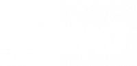 BWT